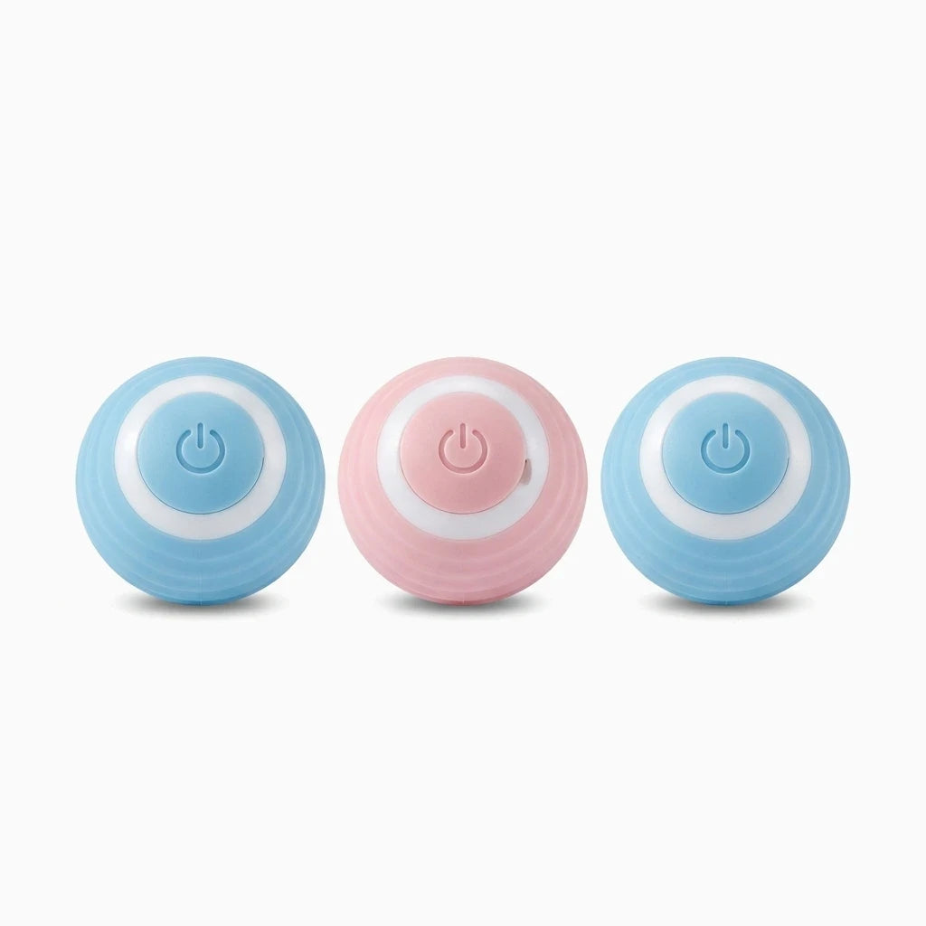 Chat jouant avec balle interactive roulante en séance d'activité quotidienne