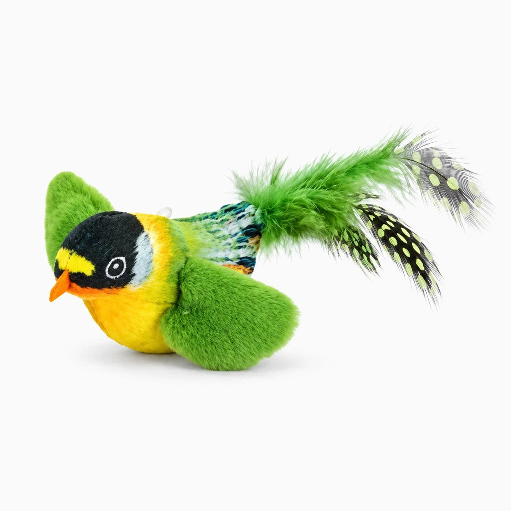 Oiseau pour chat multicolore en peluche avec texture douce et stimulation sensorielle