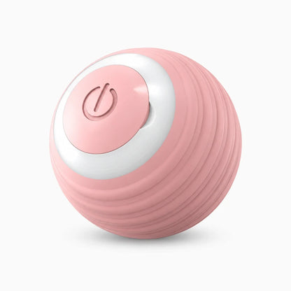 Balle interactive chat bleu compacte changeant de direction à chaque obstacle rencontré