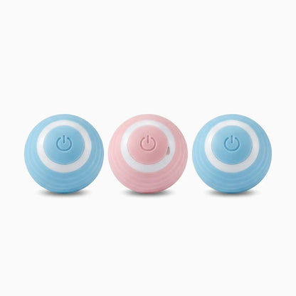 Chat jouant avec balle interactive roulante en séance d'activité quotidienne