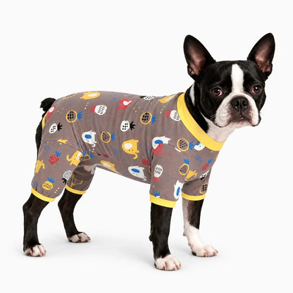 Combinaison de protection après chirurgie pour chien en jaune, alternative à la collerette classique