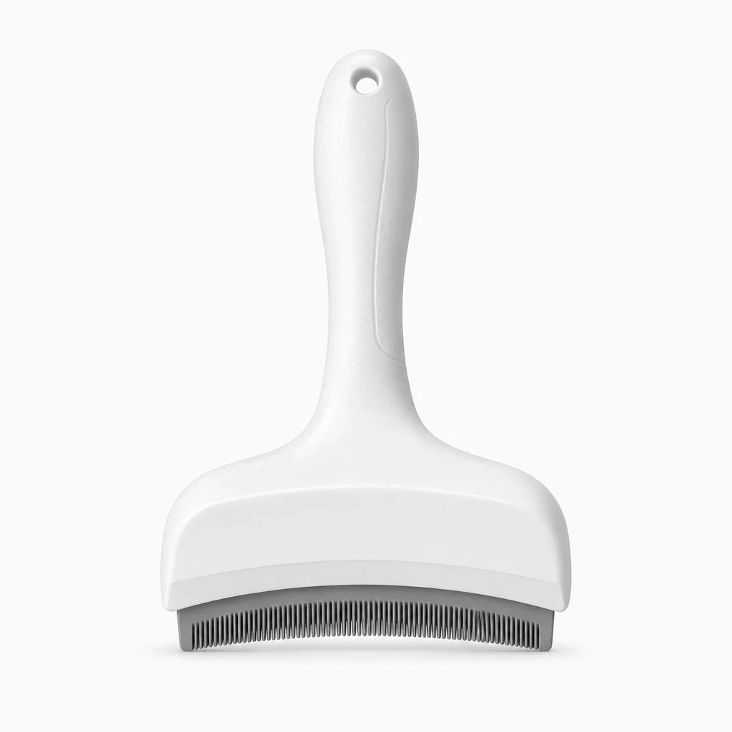 Brosse chat poils courts adaptée au toilettage régulier, réduit les poils sur le canapé