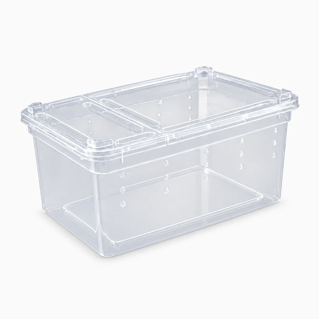 Conteneur de terrarium aéré pour reptiles, design compact et facile à nettoyer