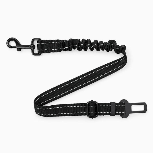 Ceinture de sécurité chien clipsée sur siège automobile, maintenant le chien en place