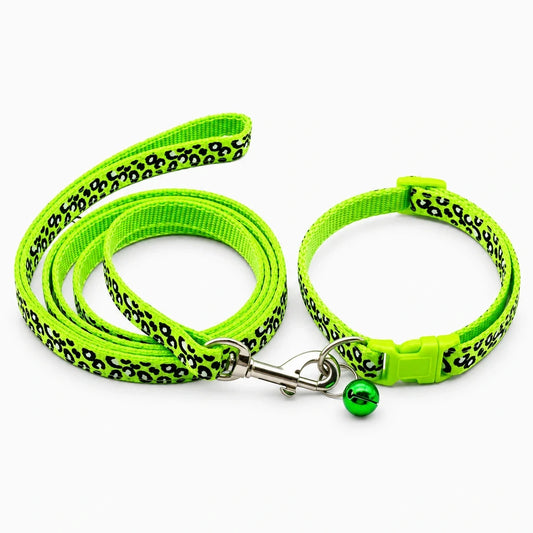 Collier et laisse pour chien assortis en couleur vive, ensemble complet de 1,2 mètre prêt à l'emploi
