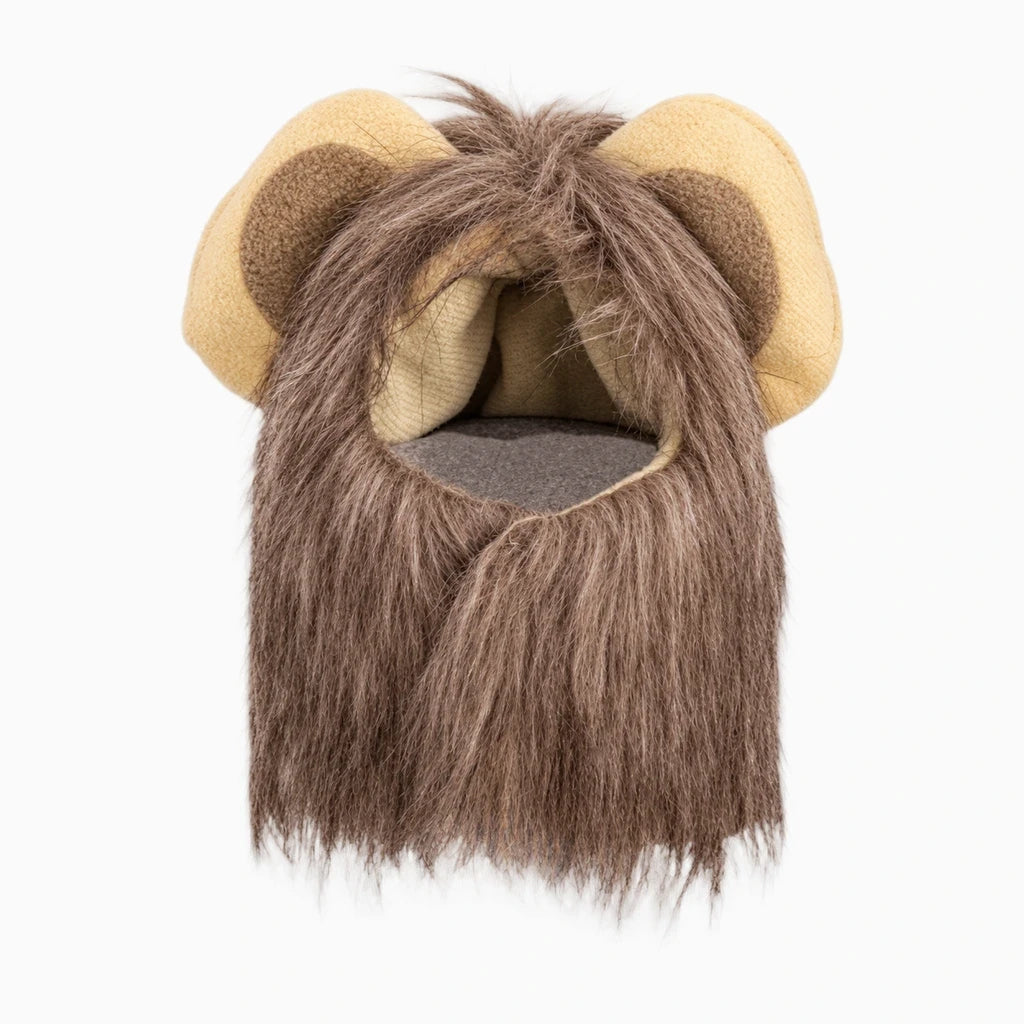 Perruque-chapeau chat léger à enfiler rapidement, style affirmé pour fêtes et célébrations