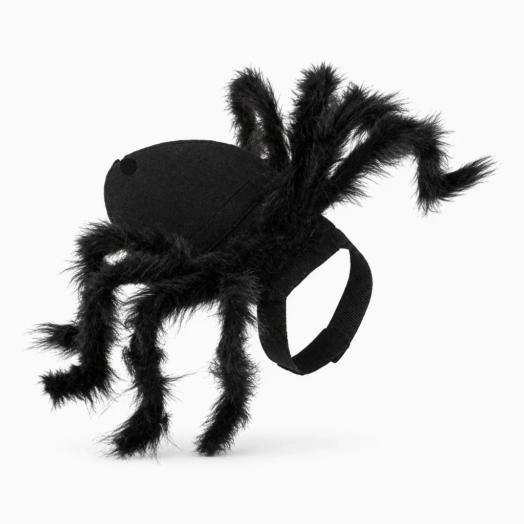 Costume araignée pour chien, dos en feutre noir et pattes en fausse fourrure, attache sous le ventre