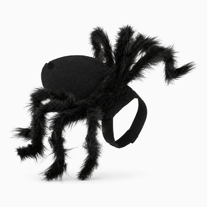 Costume araignée pour chien, dos en feutre noir et pattes en fausse fourrure, attache sous le ventre