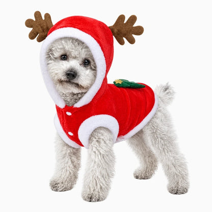 Deguisement pour chien noel en polaire chaude, encolure et capuche ornées, fermeture facile