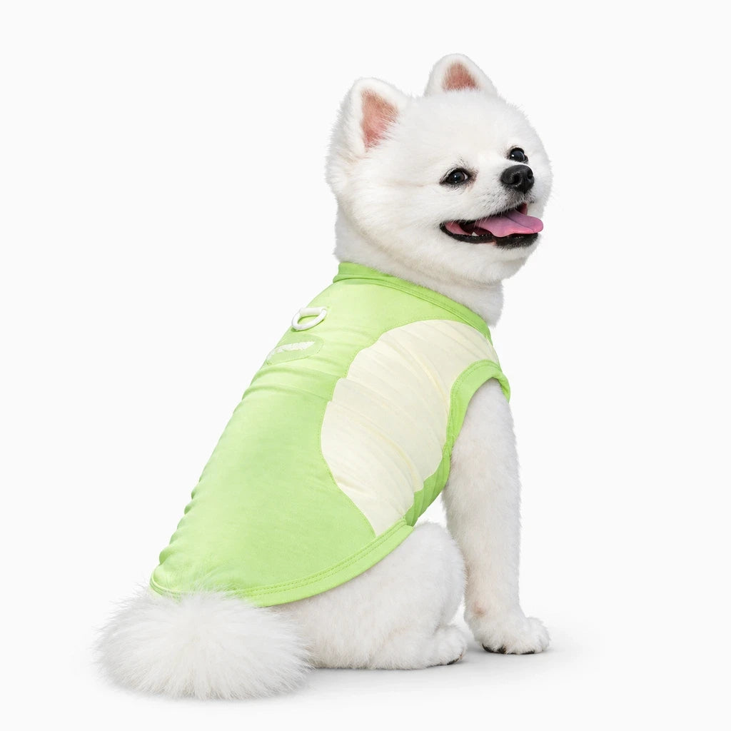 Gilet rafraîchissant chien enfilable facilement, démonstration de l'ajustement confortable pour l'activité