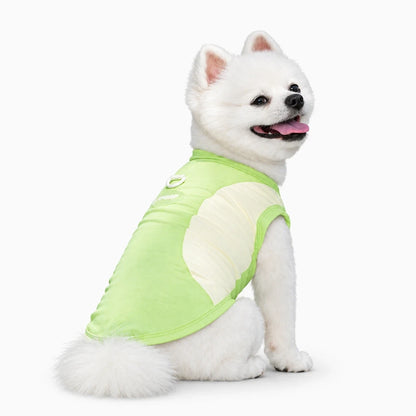 Gilet rafraîchissant chien enfilable facilement, démonstration de l'ajustement confortable pour l'activité