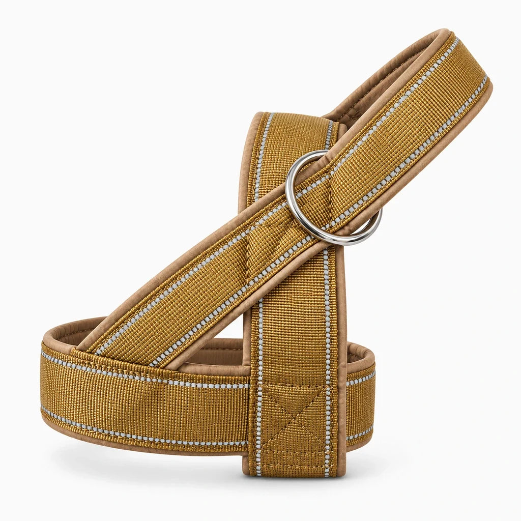 Harnais chien tactique – 4