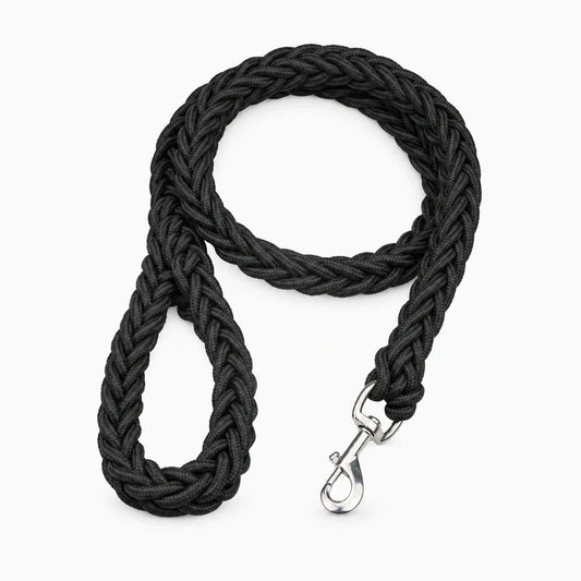 Laisse chien corde en nylon tressé noir, structure épaisse avec bonne prise en main