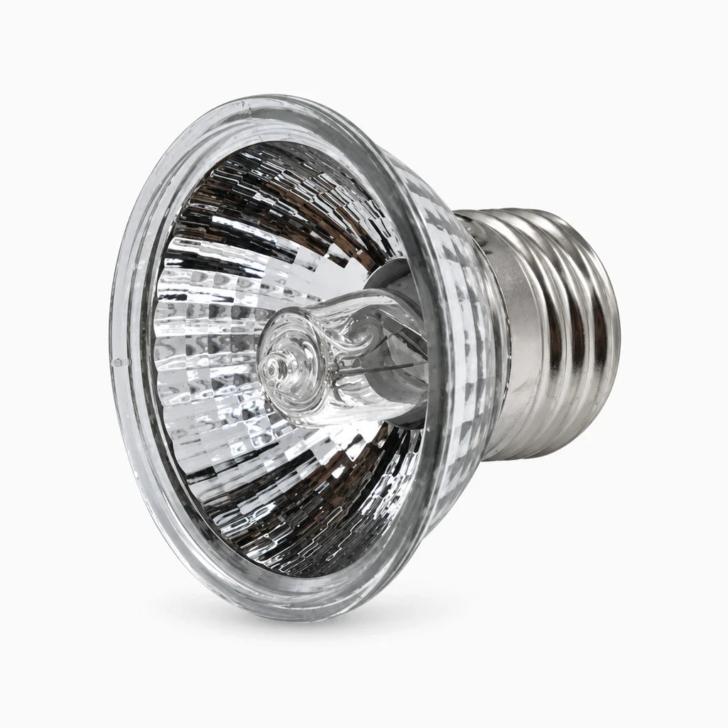 Lampe tortue émettant une lumière UV complète pour terrarium, disponible en 25, 50 ou 75 watts