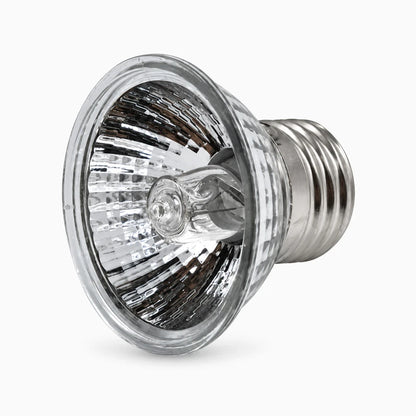 Lampe tortue émettant une lumière UV complète pour terrarium, disponible en 25, 50 ou 75 watts