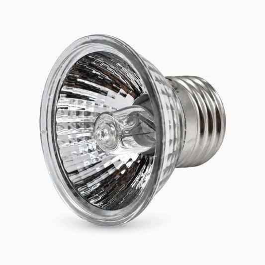 Lampe tortue émettant une lumière UV complète pour terrarium, disponible en 25, 50 ou 75 watts