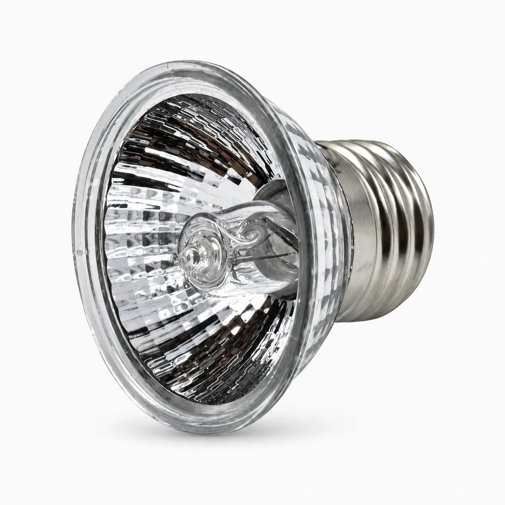 Lampe tortues diffusant chaleur et lumière naturelle pour amphibiens et reptiles en habitat fermé