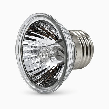 Lampe tortues diffusant chaleur et lumière naturelle pour amphibiens et reptiles en habitat fermé