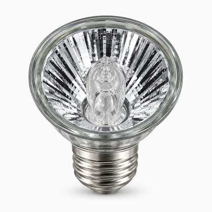 Lampe tortue – 4