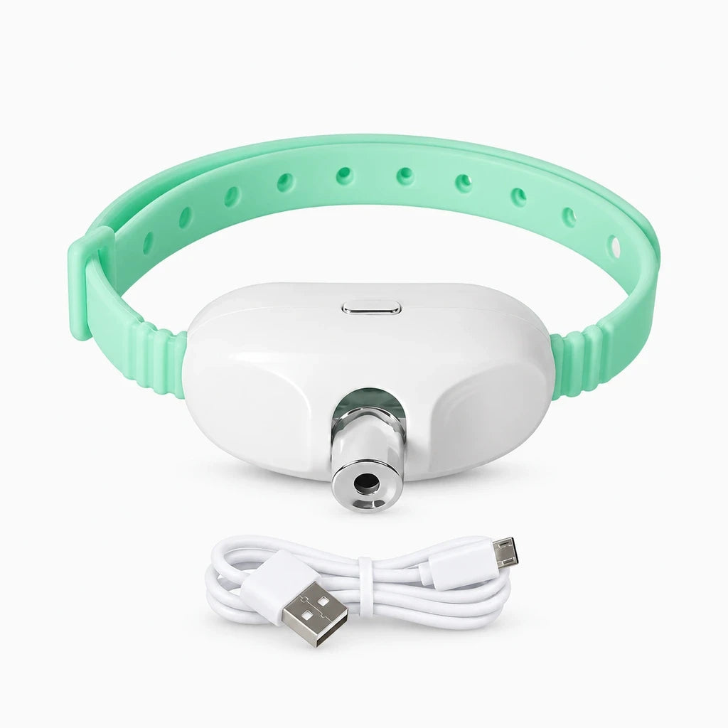 Laser à chat rechargeable porté en collier, projetant un point lumineux rouge