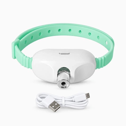 Laser à chat rechargeable porté en collier, projetant un point lumineux rouge