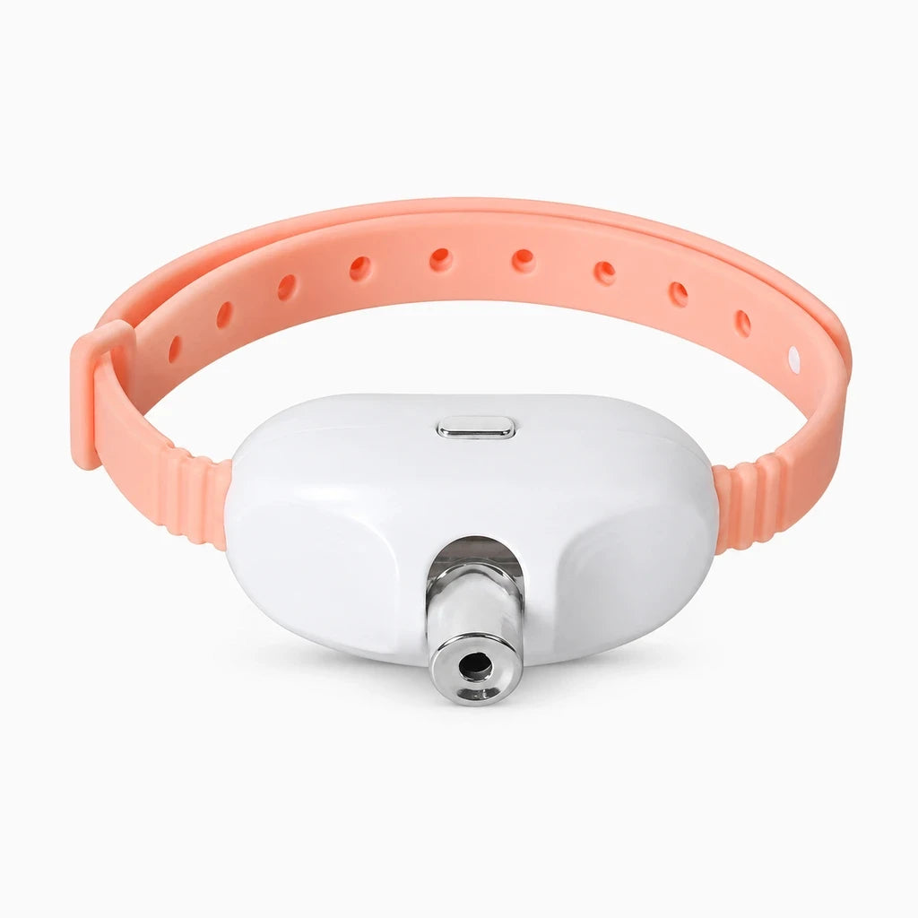 Chat laser vert compact avec système de recharge USB intégré