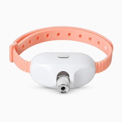 Chat laser vert compact avec système de recharge USB intégré
