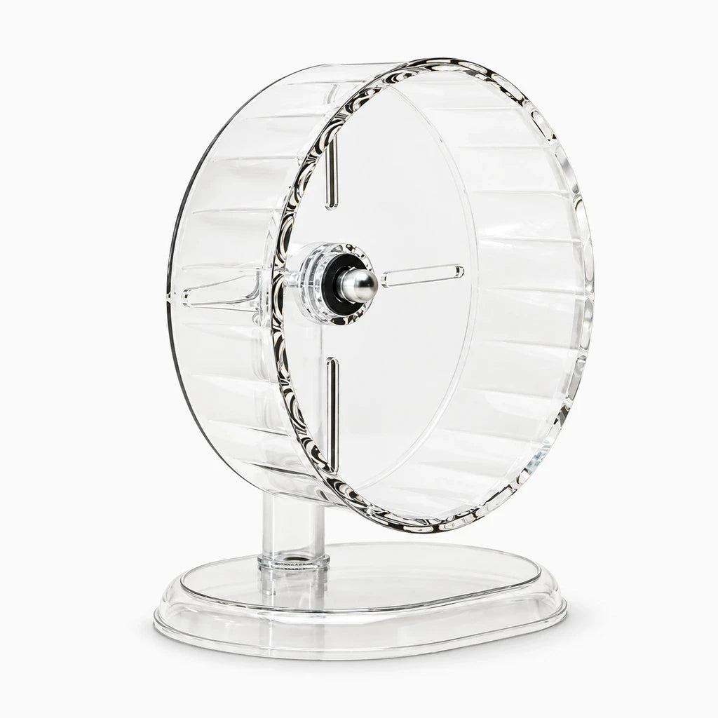 Roue d'exercice hamster stable transparent montrant l'intérieur avec structure sécurisée