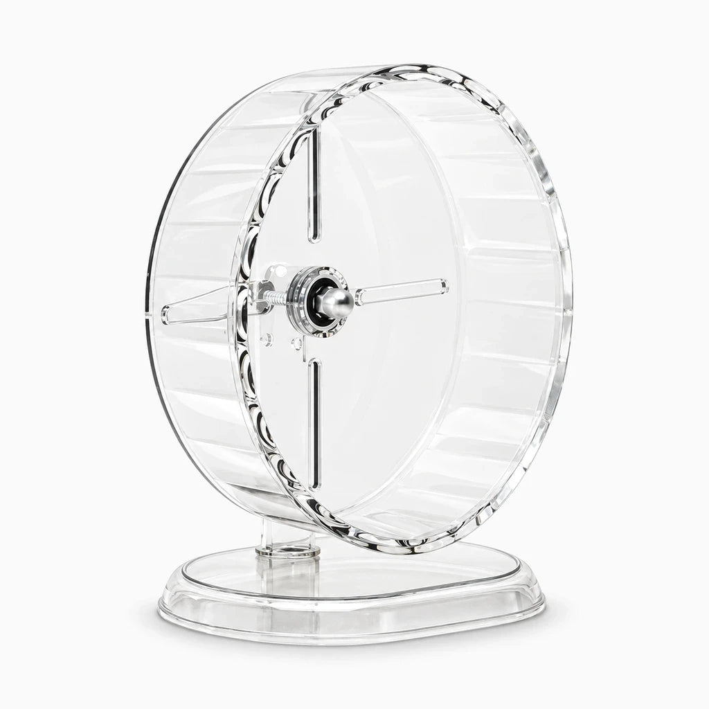 Accessoire roue pour hamster en matière claire facilitant le nettoyage et la surveillance