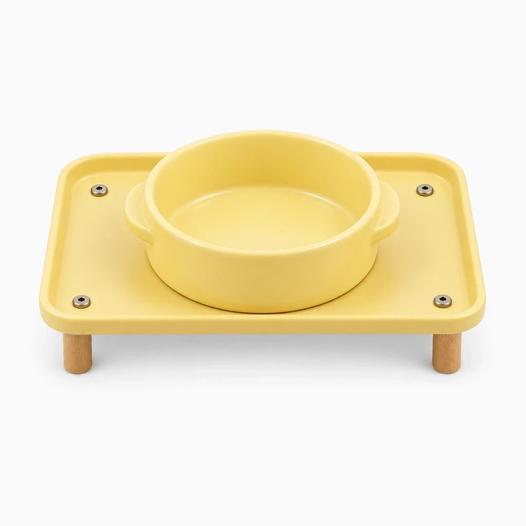Gamelle de chien positionnée sur support à hauteur ergonomique réduisant flexion du cou